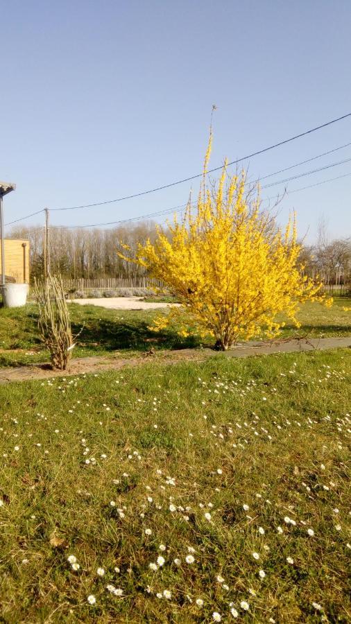La Halte Villa Villeret Eksteriør bilde